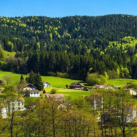 Des Reves Vosgiens Premium Avec Jacuzzi, Brasero, Borne D'arcade 3000 Jeux Et Pistes De A 10 Minutes Chalet *