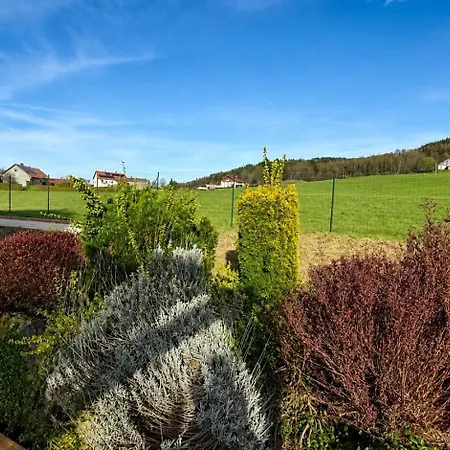 Des Reves Vosgiens Premium Avec Jacuzzi, Brasero, Borne D'arcade 3000 Jeux Et Pistes De A 10 Minutes Chalet